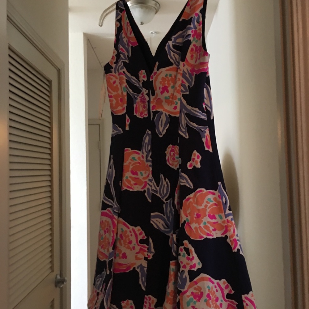 Lilly dress- V- neck size 4